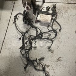 Escalade 6.2 Wiring Harness