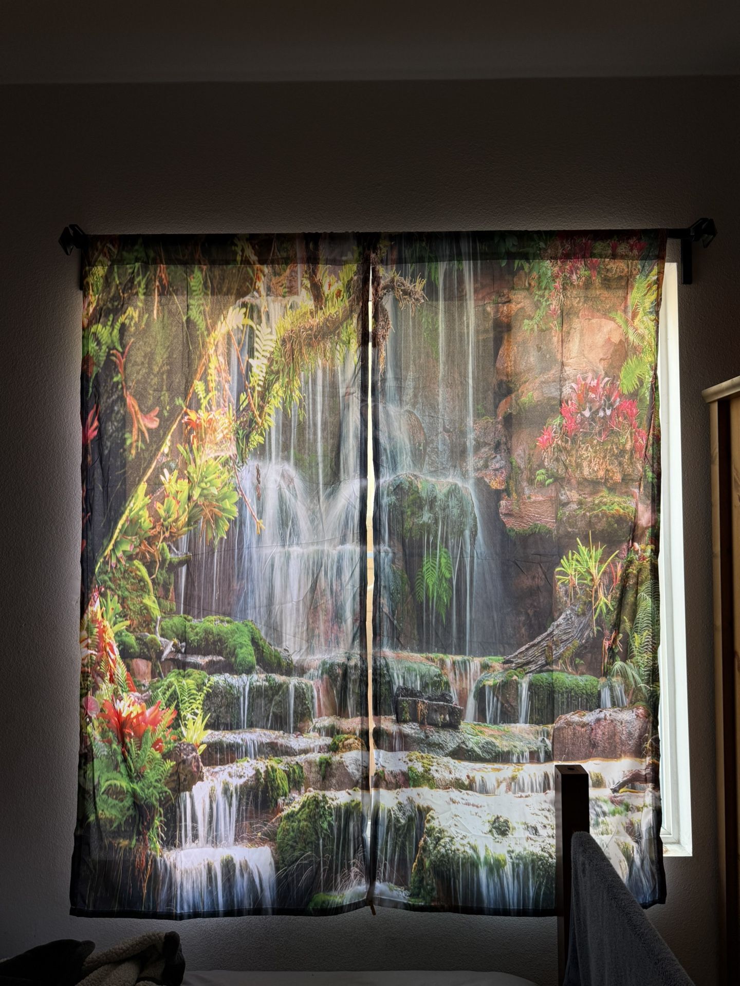 Design Window Curtains