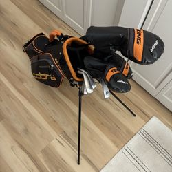 Cobra Junior Golf Set