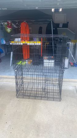 Medium kennel