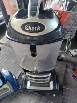 Shark