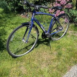 Raleigh Cadet Aluminum Road Bike