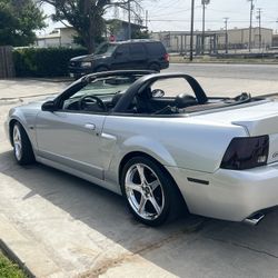 2000 Ford Mustang