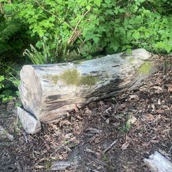 Free Wood