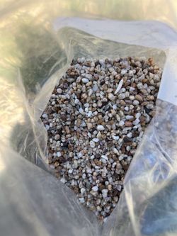 Sandwich bags of fish aquarium