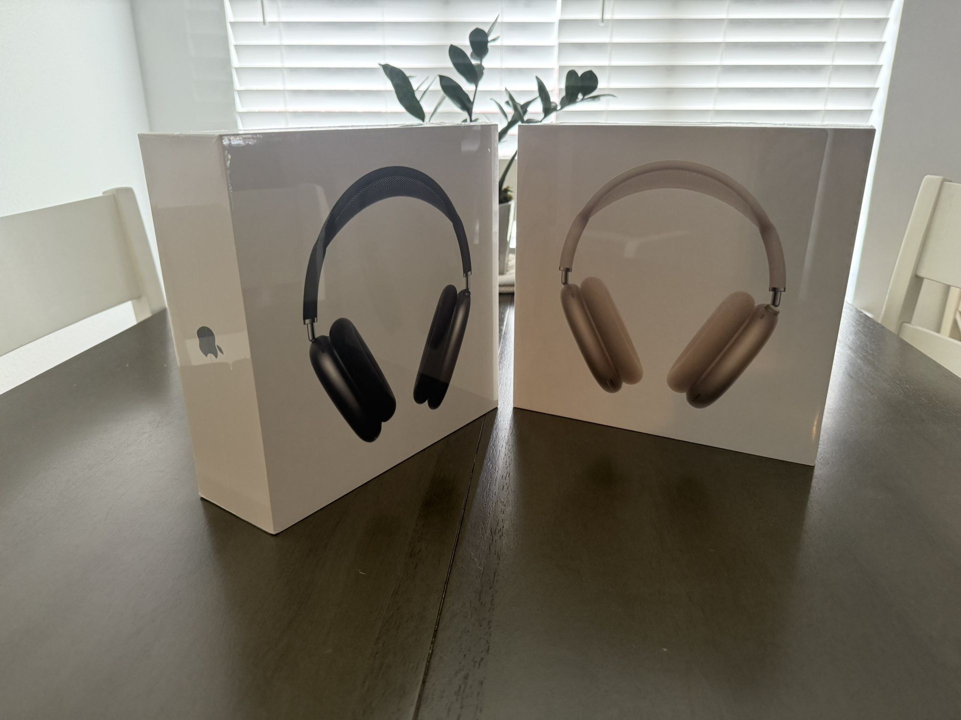 Apple Headphones 