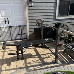 Work Out Bench