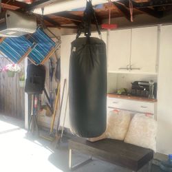 UFC Hanging Punching Bag