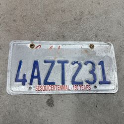 License Plate