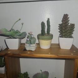 Bunch Mini Fake Cactus