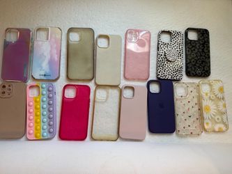 12 pro max case