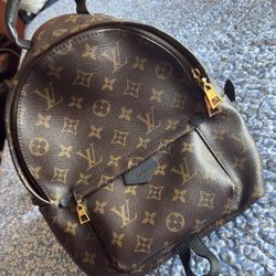 Louis Vuitton Canvas Monogram Palm Springs PM Backpack