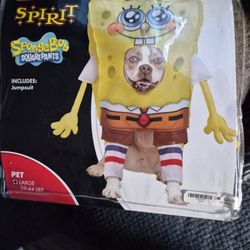 Pet Costume 