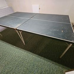 Ping Pong Table