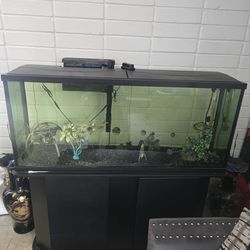Aquarium with cabinet