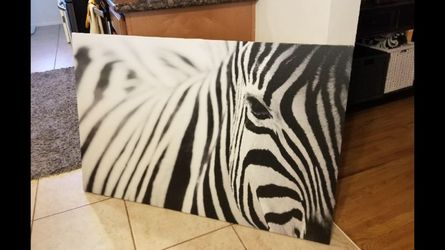 Zebra picture