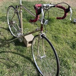 1983 Nishiki Sport  61 cm Road Bike 