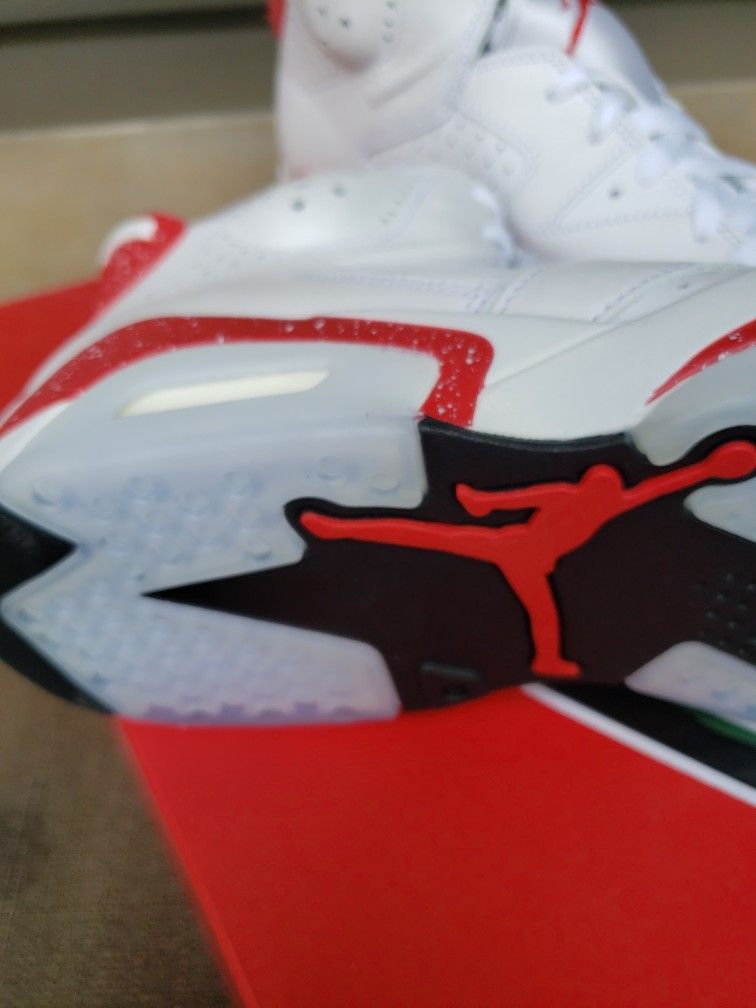 BRAND NEW AIR JORDAN 6 RETRO