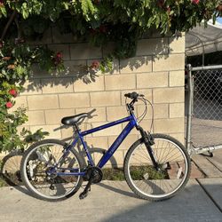 Blue Bicycle 