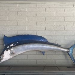 Marlin