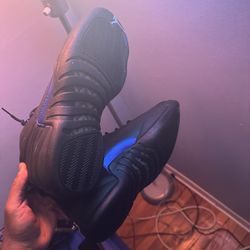 Jordan 12 Dark Concord