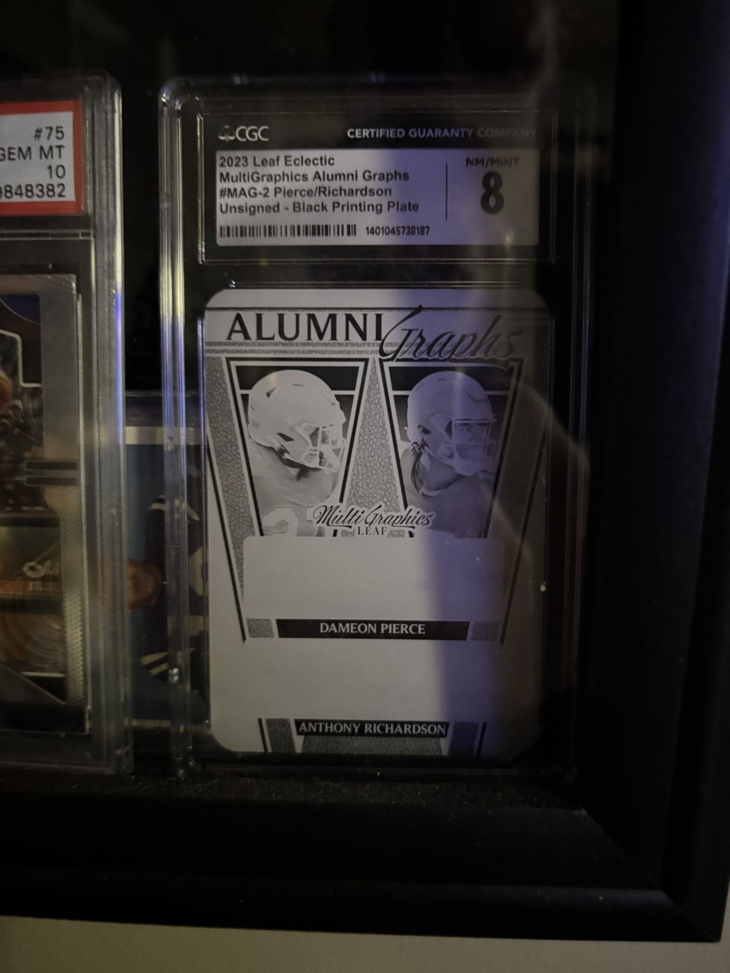 Dameon Pierce  And Richardson Multigraph 