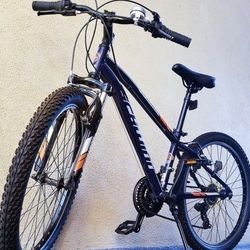 Like New Schwinn Ranger 24" Kids Teen Mountain Bike With Option Of Stranger Things Netflix Exclusive One Last Ride Bike Bell Alloy rims with 24 x 2.1
