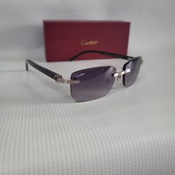 The New Cartier Sunglasses Buffs 