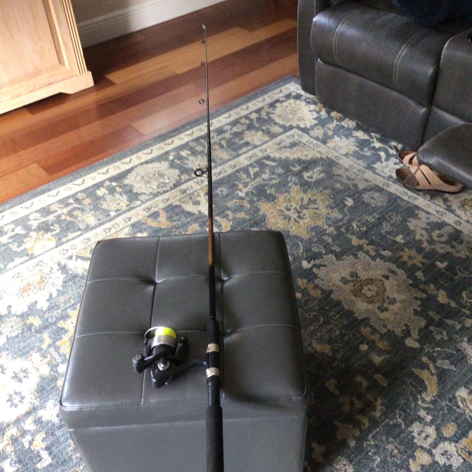 Pinnacle Vision Reel ,and master Spinning Rod