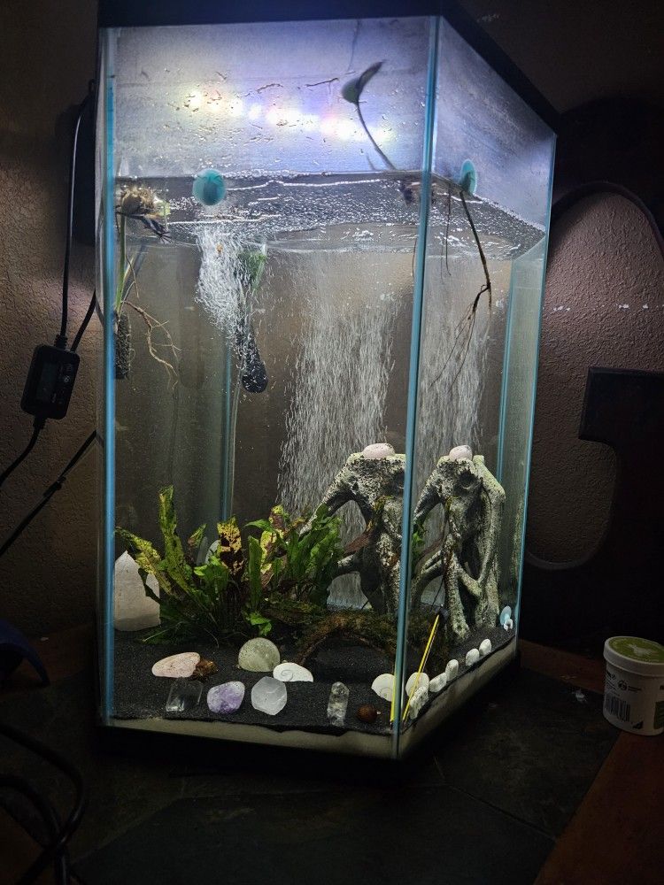 Fish Tank, Hexagon, 20gal