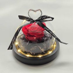 NEW Real Preserved Rose Everlasting Forever Eternal Flowers W/ LED Light