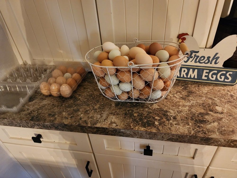 $5 Fresh Eggs, Clean And Unwashed