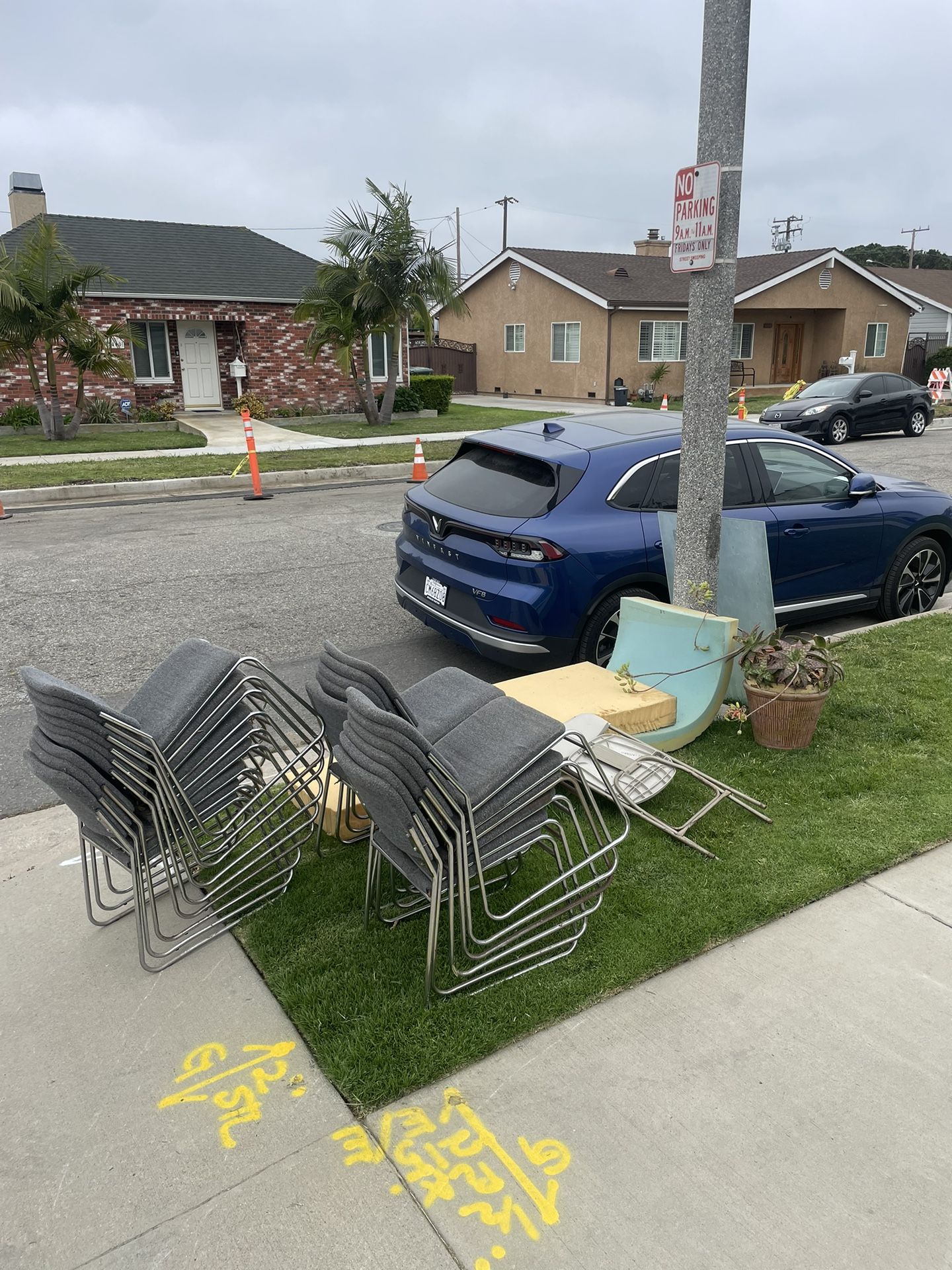 Free chairs and plant and glass and foam