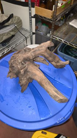 Aquarium Driftwood
