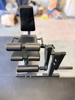 Gym Leg Extension & Hamstring Curl Machine
