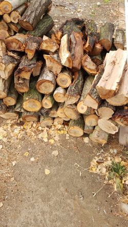 Seasoned almond wood