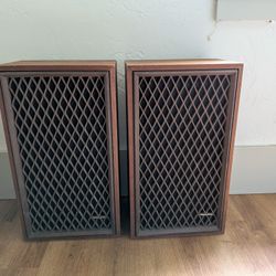 Beautiful Realistic Vintage Speakers