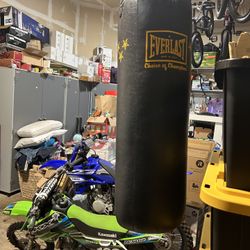 Everlast Heavy Bag