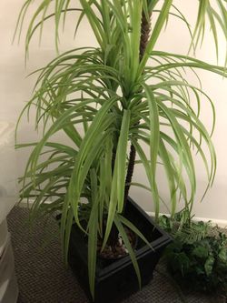 Very nice decoration tree