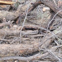 Tons Of Mesquite Wood Great For Grill And BBQ Pits