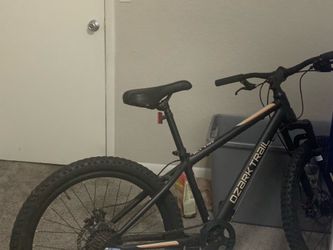 Ozark mountain bike