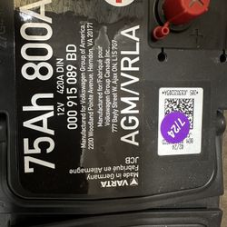 Volkswagen / Audi Battery 