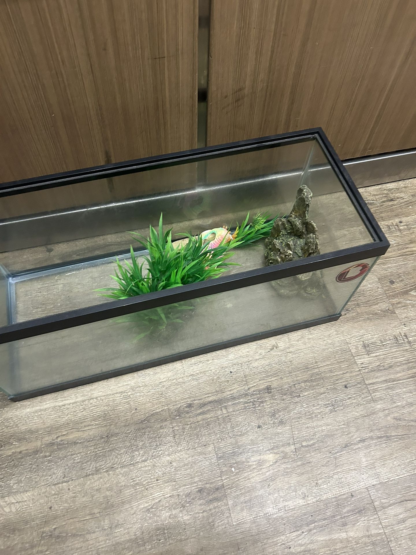 20 Gallon Tank