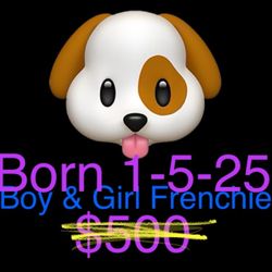 $300 Message Me