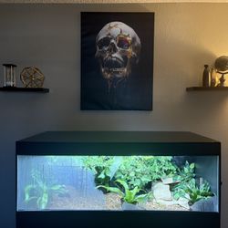 4x2x2 120 Gallon/Reptile Enclosure 