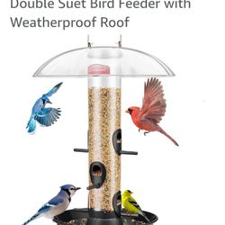 Bird Feeder.