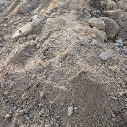 DG Decomposed Gravel- Gravel - Clean Fill - FREE!