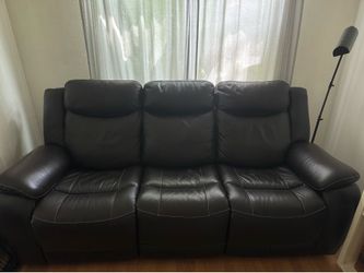 Two Leather Couches
