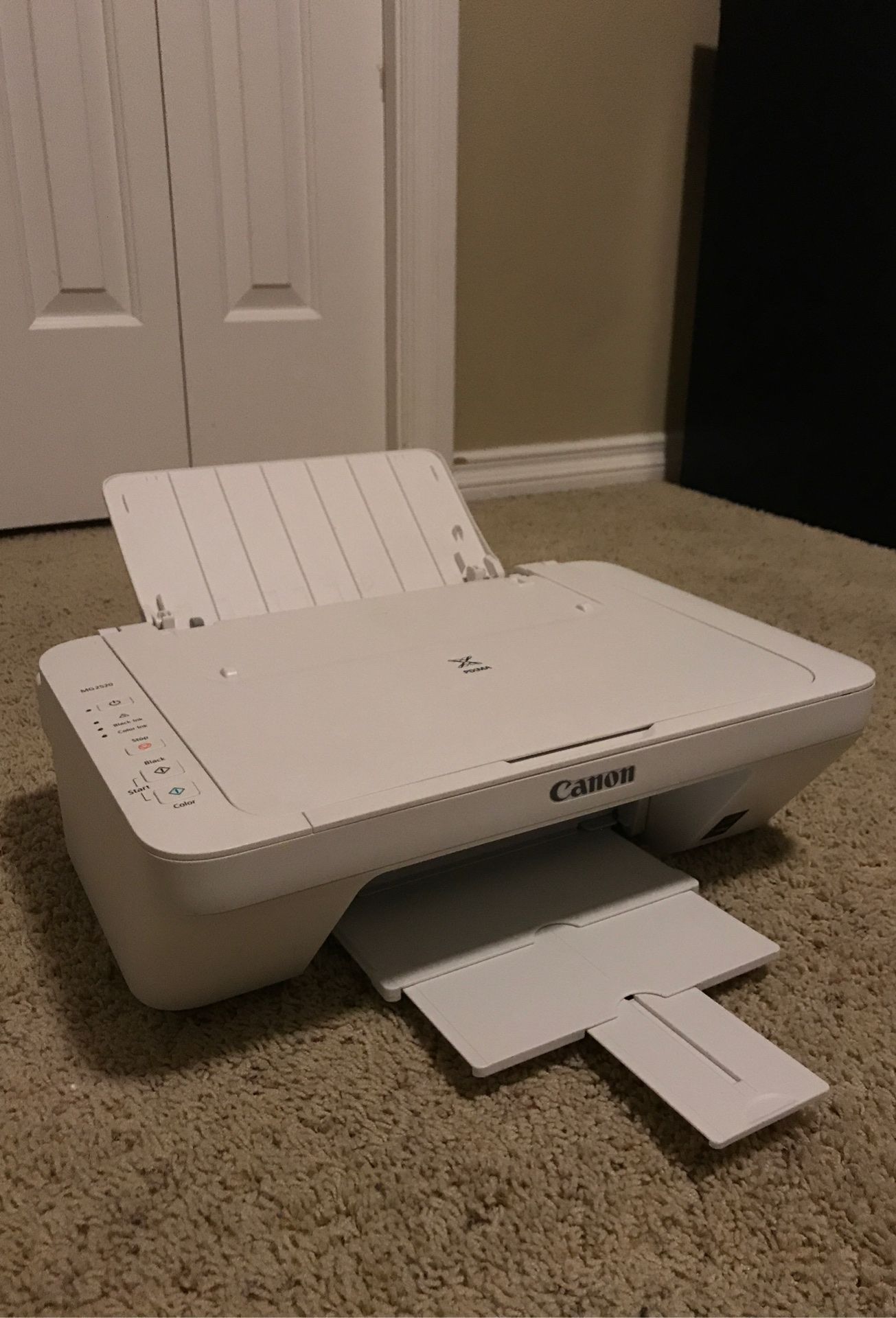 CANON PIXMA MG2520 Paper Printer Scanner Copier for Sale in Kent, WA