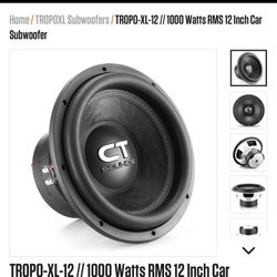 12”ct Sound Sub 